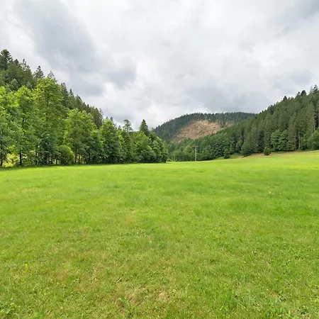 Untermetzgersbauernhof Lejlighed Alpirsbach